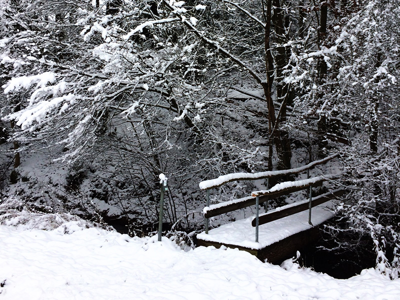 grebe bestattungen schneelandschaft